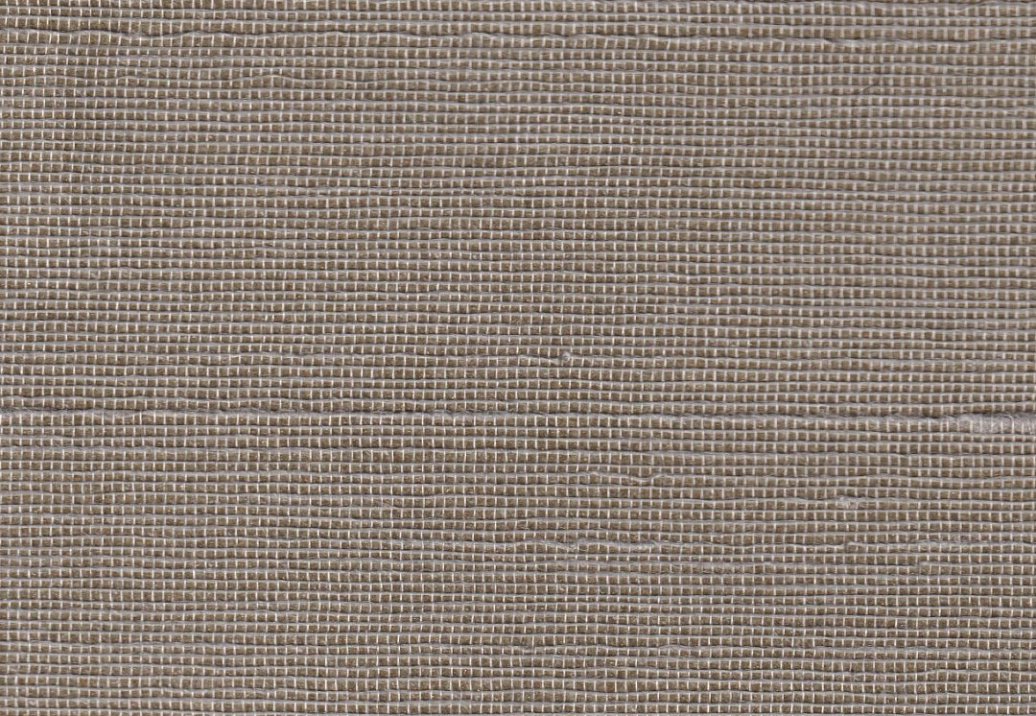 Обои Yana Svetlova Wallcoverings Indian Silk T-NatS-10
