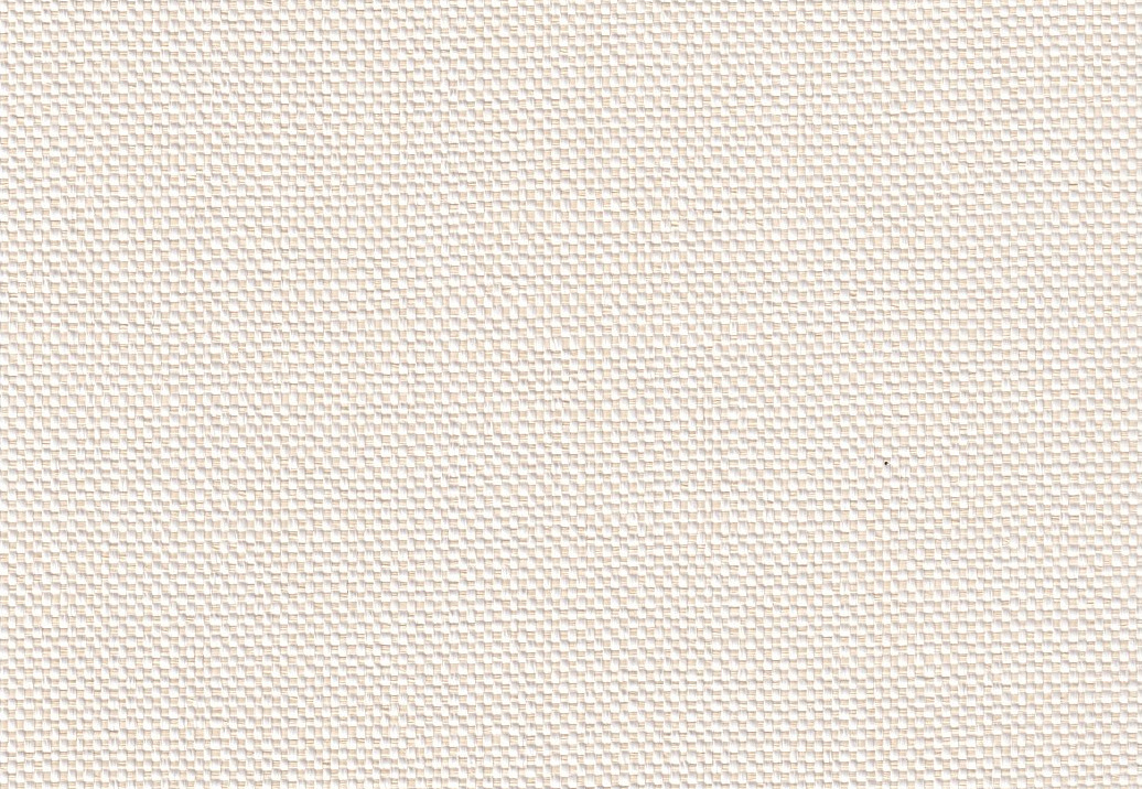 Обои Yana Svetlova Wallcoverings Antivandal Wallcoverings AV-06