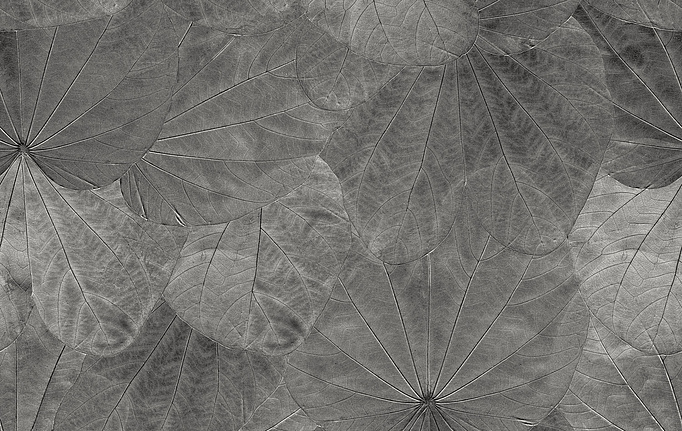 Итальянские панно и фотообои Italreflexes, коллекция Macro, артикул Leaves-001/Slate