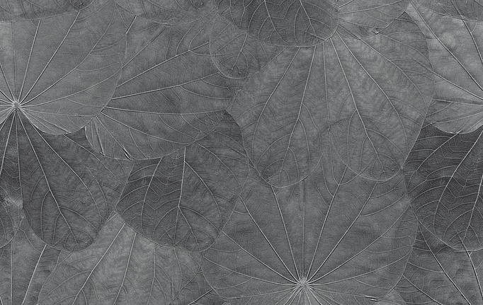 Итальянские панно и фотообои Italreflexes, коллекция Macro, артикул Leaves-001/Silver