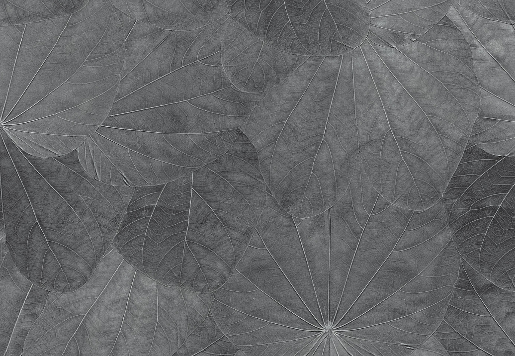 Панно и фотообои Italreflexes Macro Leaves-001/Silver