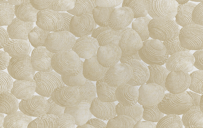 Итальянские панно и фотообои Italreflexes, коллекция Macro, артикул Shell-002/Gypsum