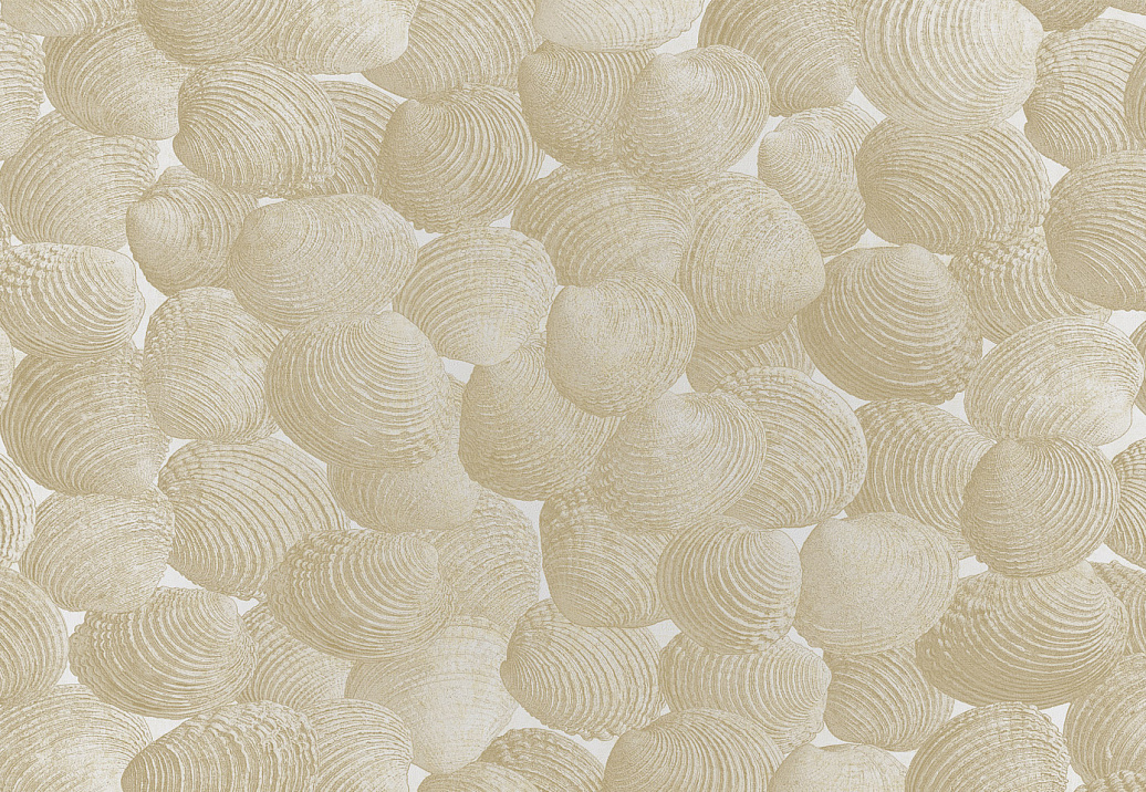 Панно и фотообои Italreflexes Macro Shell-002/Gypsum