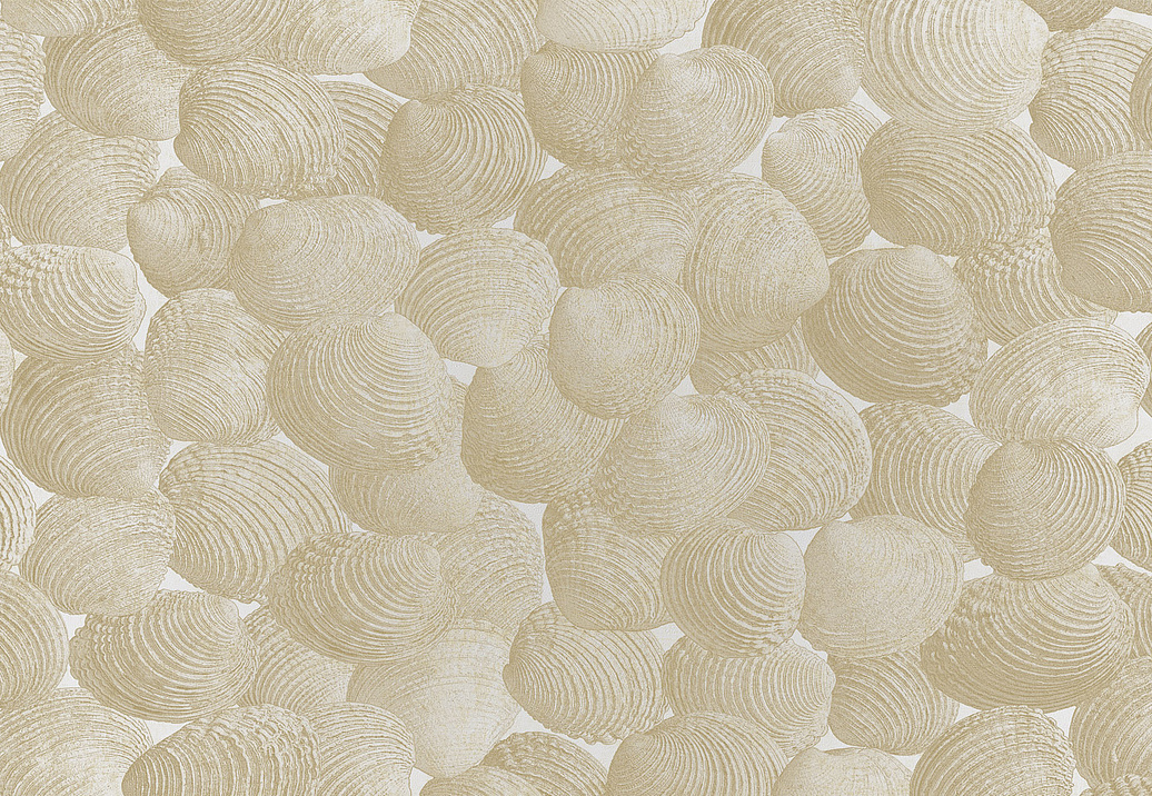 Панно и фотообои Italreflexes Macro Shell-002/Gypsum