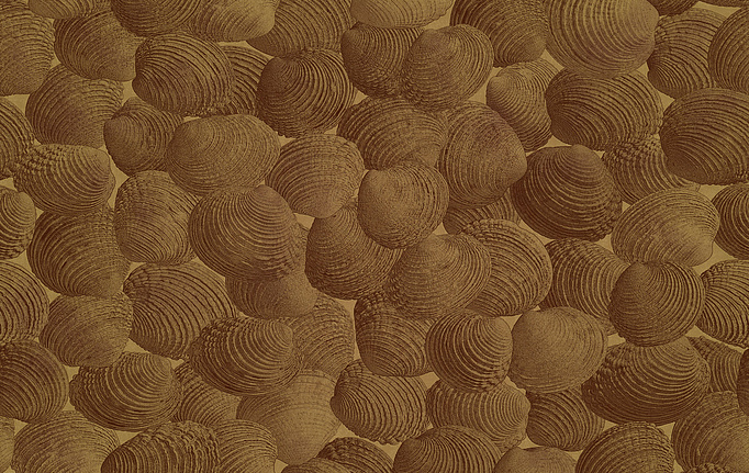 Итальянские панно и фотообои Italreflexes, коллекция Macro, артикул Shell-002/Gold