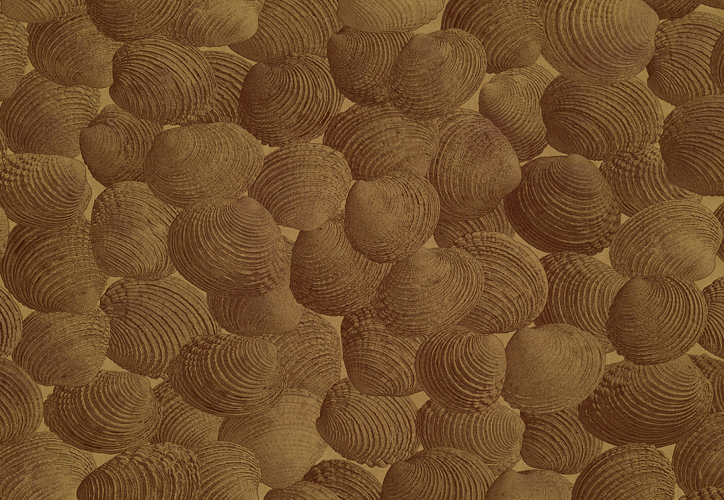 Панно и фотообои Italreflexes Macro Shell-002/Gold