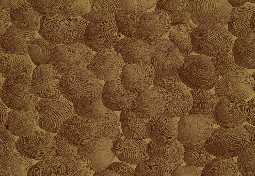 Панно и фотообои Italreflexes Macro Shell-002/Gold