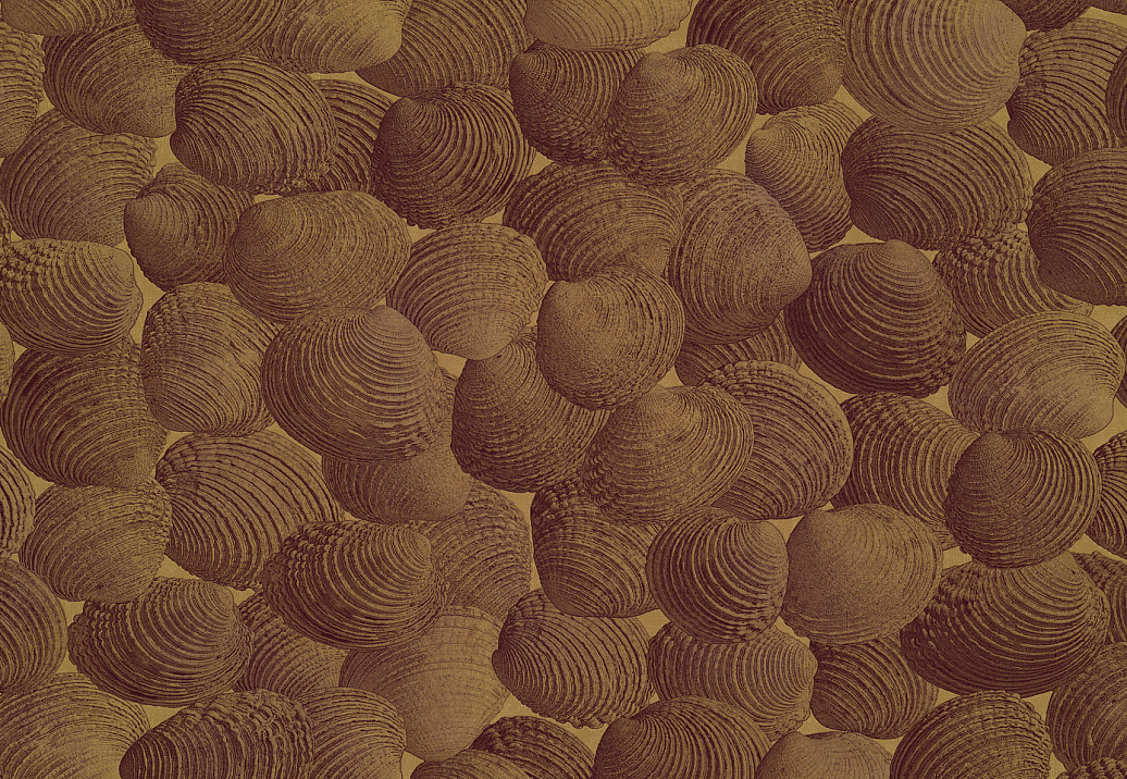 Панно и фотообои Italreflexes Macro Shell-002/PureGold