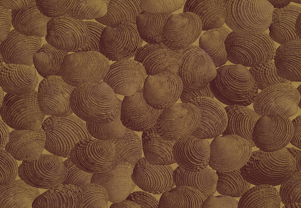 Панно и фотообои Italreflexes Macro Shell-002/PureGold