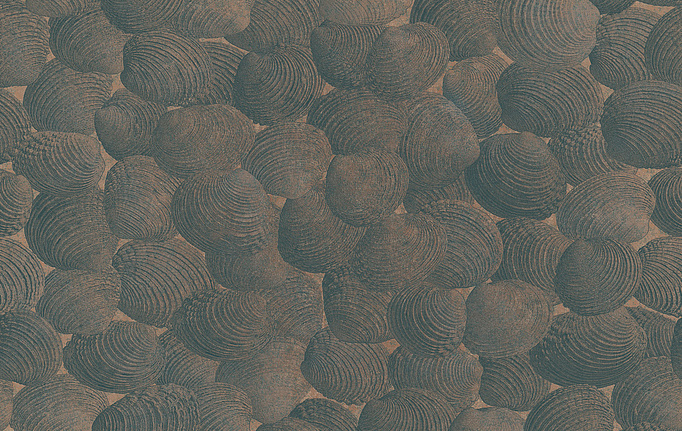 Итальянские панно и фотообои Italreflexes, коллекция Macro, артикул Shell-002/Copper