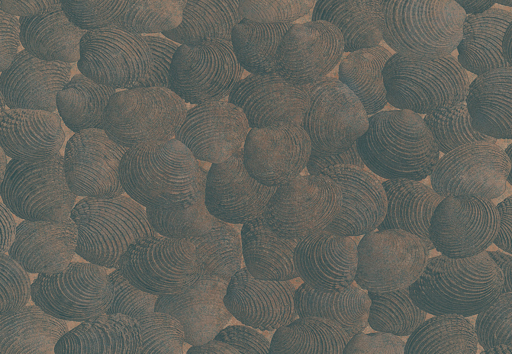 Панно и фотообои Italreflexes Macro Shell-002/Copper