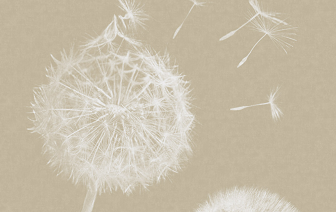 Итальянские панно и фотообои Italreflexes, коллекция Macro, артикул Taraxacum-003/Gypsum