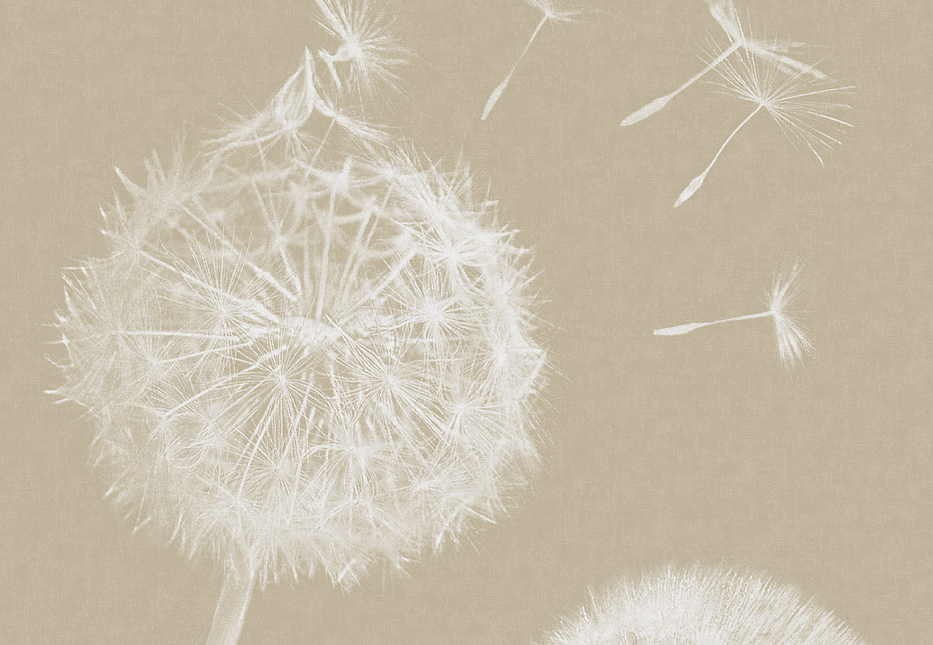 Панно и фотообои Italreflexes Macro Taraxacum-003/Gypsum
