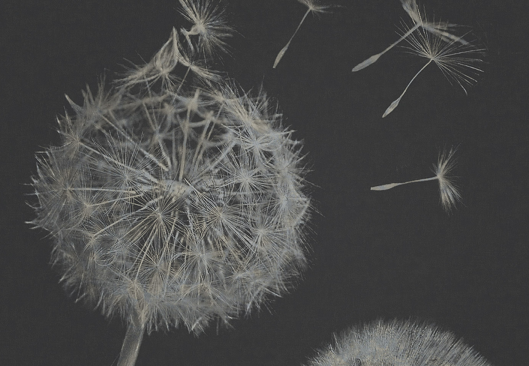 Панно и фотообои Italreflexes Macro Taraxacum-003/Silver