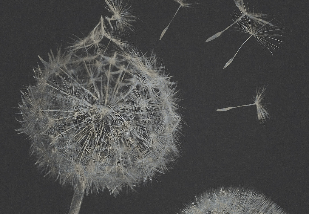 Панно и фотообои Italreflexes Macro Taraxacum-003/Silver