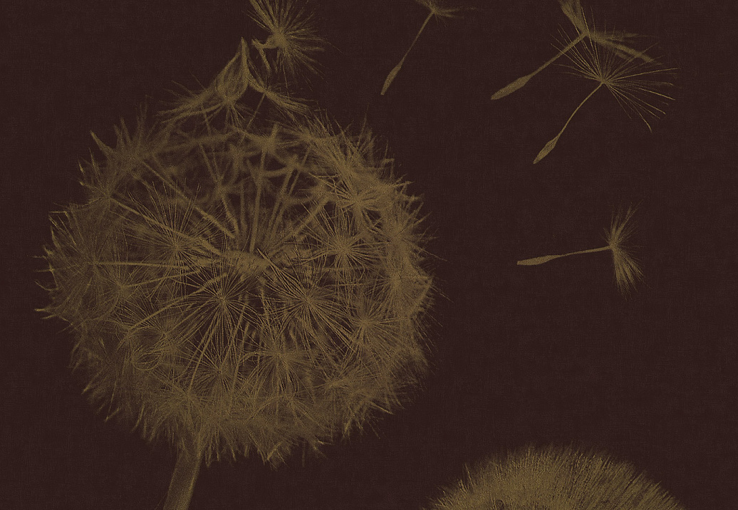 Панно и фотообои Italreflexes Macro Taraxacum-003/PureGold
