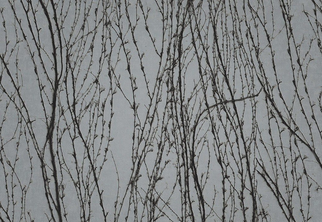 Панно и фотообои Italreflexes Macro Virginia Creeper-007/Silver