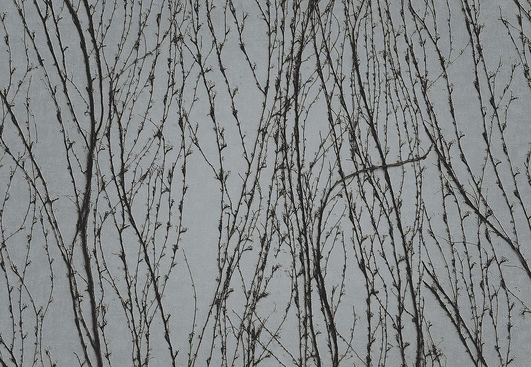 Панно и фотообои Italreflexes Macro Virginia Creeper-007/Silver