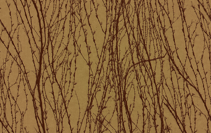 Итальянские панно и фотообои Italreflexes, коллекция Macro, артикул Virginia Creeper-007/Gold