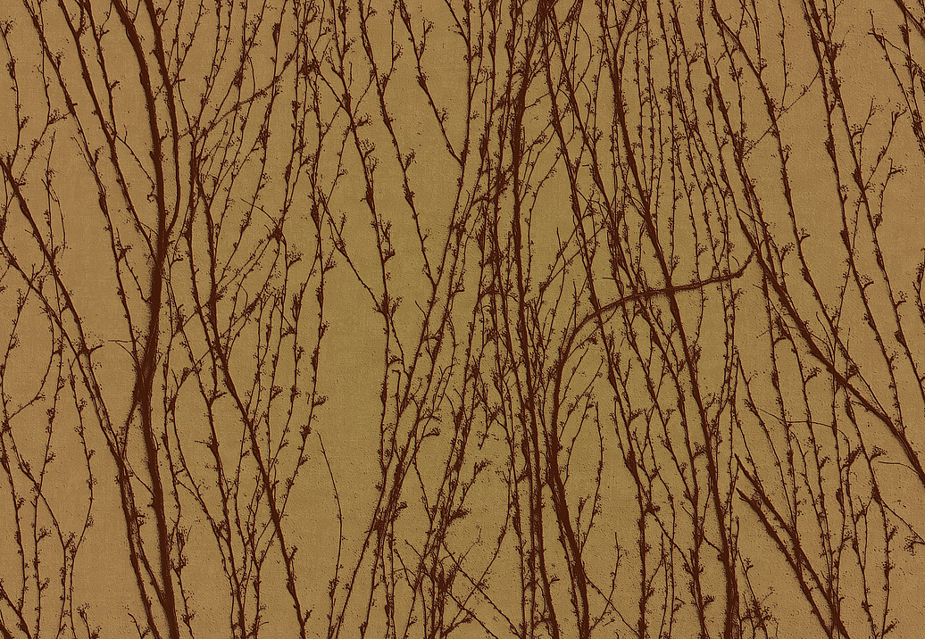 Панно и фотообои Italreflexes Macro Virginia Creeper-007/Gold