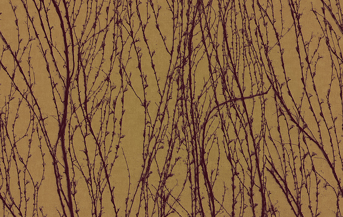 Итальянские панно и фотообои Italreflexes, коллекция Macro, артикул Virginia Creeper-007/PureGold