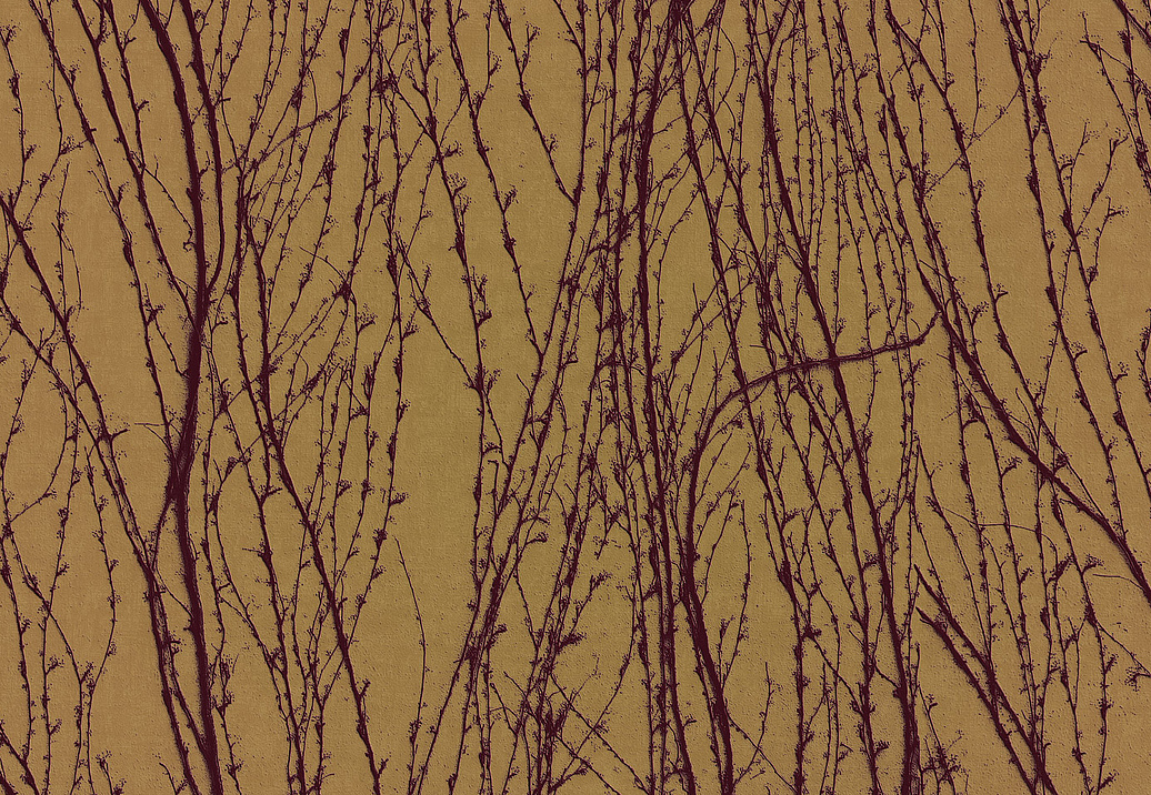 Панно и фотообои Italreflexes Macro Virginia Creeper-007/PureGold