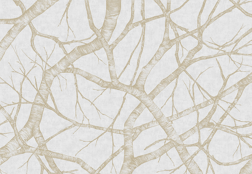 Панно и фотообои Italreflexes Macro Silver Birch-008/Gypsum