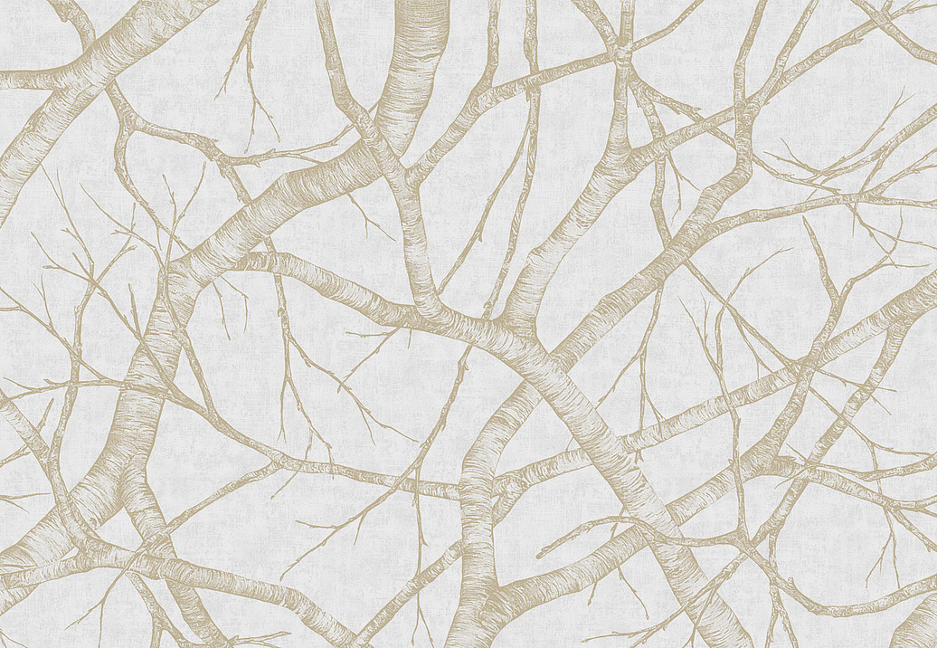 Панно и фотообои Italreflexes Macro Silver Birch-008/Gypsum