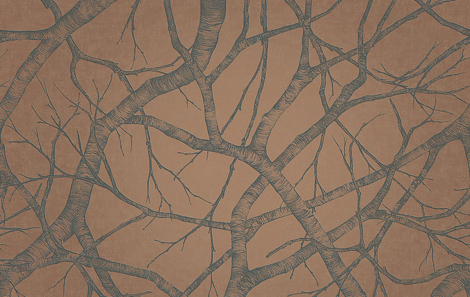 Итальянские панно и фотообои Italreflexes, коллекция Macro, артикул Silver Birch-008/Copper
