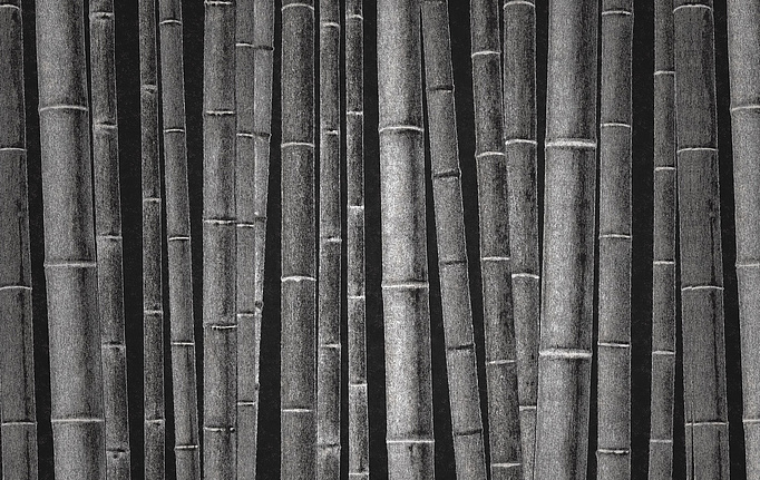 Итальянские панно и фотообои Italreflexes, коллекция Macro, артикул Bamboo-011/Slate