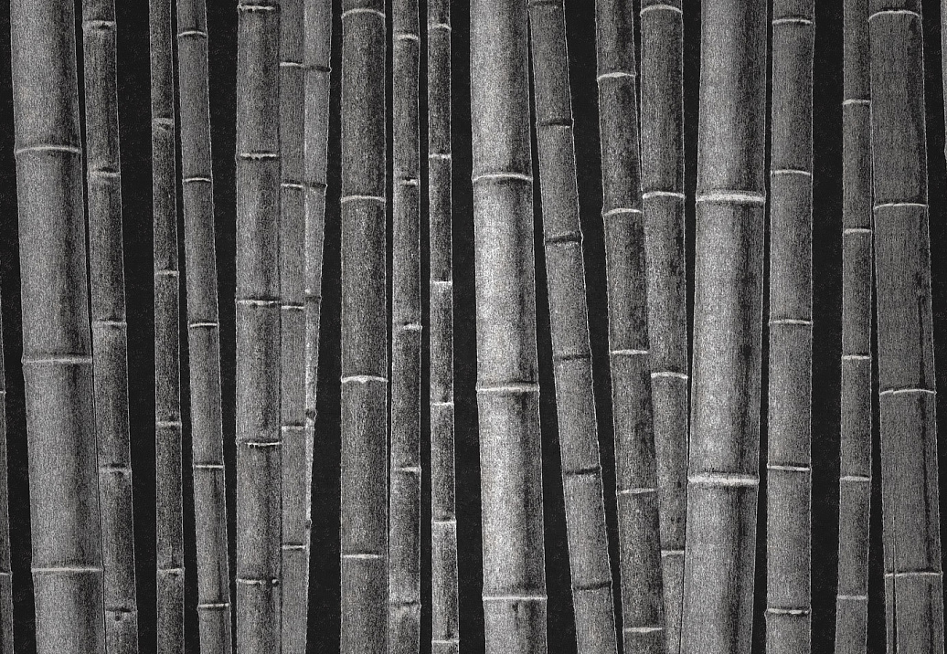 Панно и фотообои Italreflexes Macro Bamboo-011/Slate