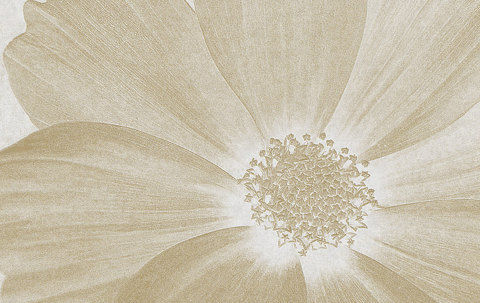 Итальянские панно и фотообои Italreflexes, коллекция Macro, артикул Flower-013/Gypsum