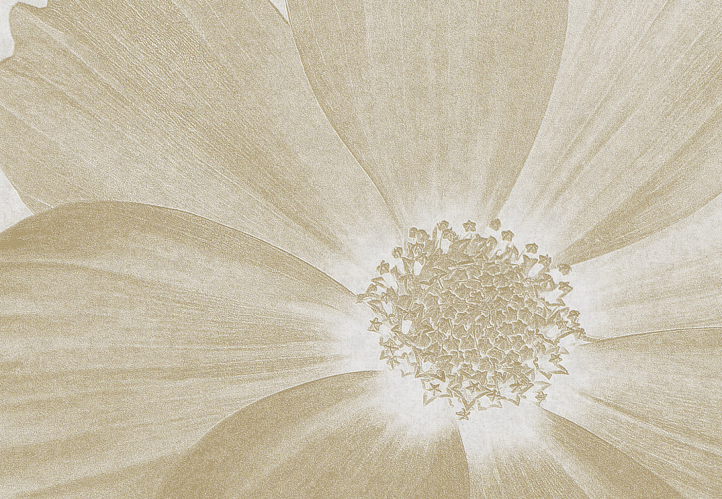 Панно и фотообои Italreflexes Macro Flower-013/Gypsum