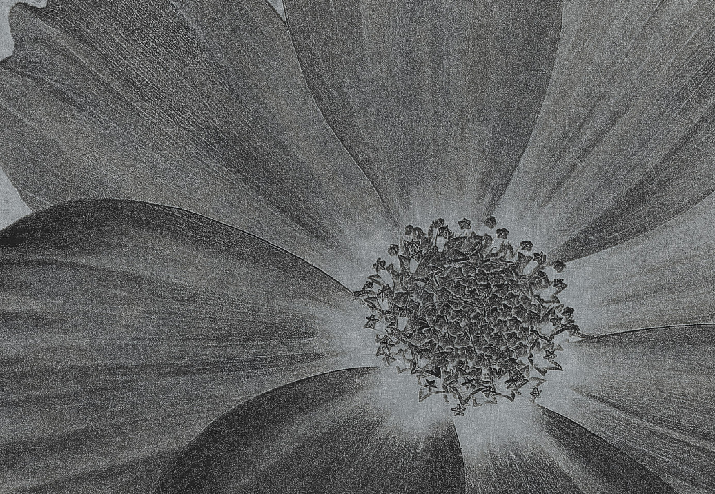 Панно и фотообои Italreflexes Macro Flower-013/Silver