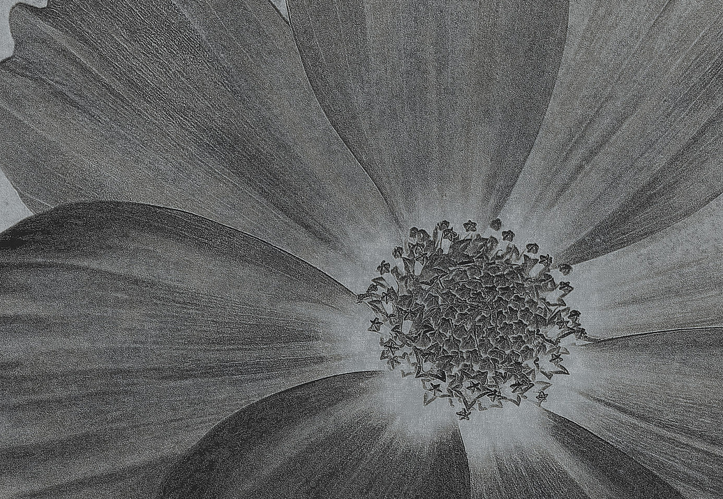 Панно и фотообои Italreflexes Macro Flower-013/Silver