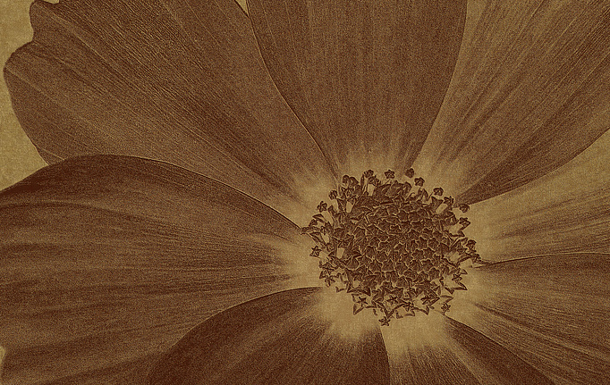 Итальянские панно и фотообои Italreflexes, коллекция Macro, артикул Flower-013/Gold