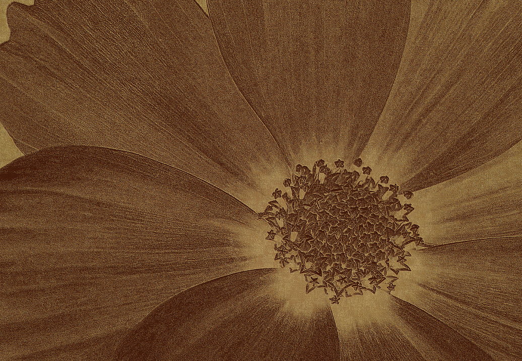 Панно и фотообои Italreflexes Macro Flower-013/Gold