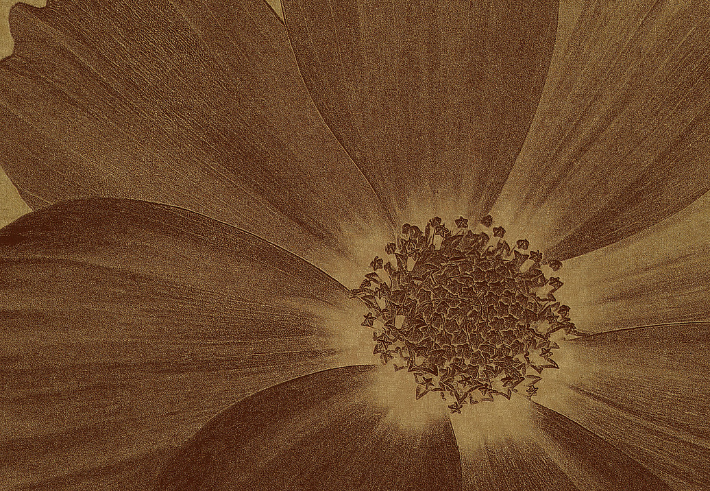Панно и фотообои Italreflexes Macro Flower-013/Gold