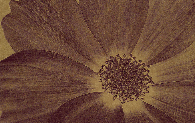 Итальянские панно и фотообои Italreflexes, коллекция Macro, артикул Flower-013/PureGold