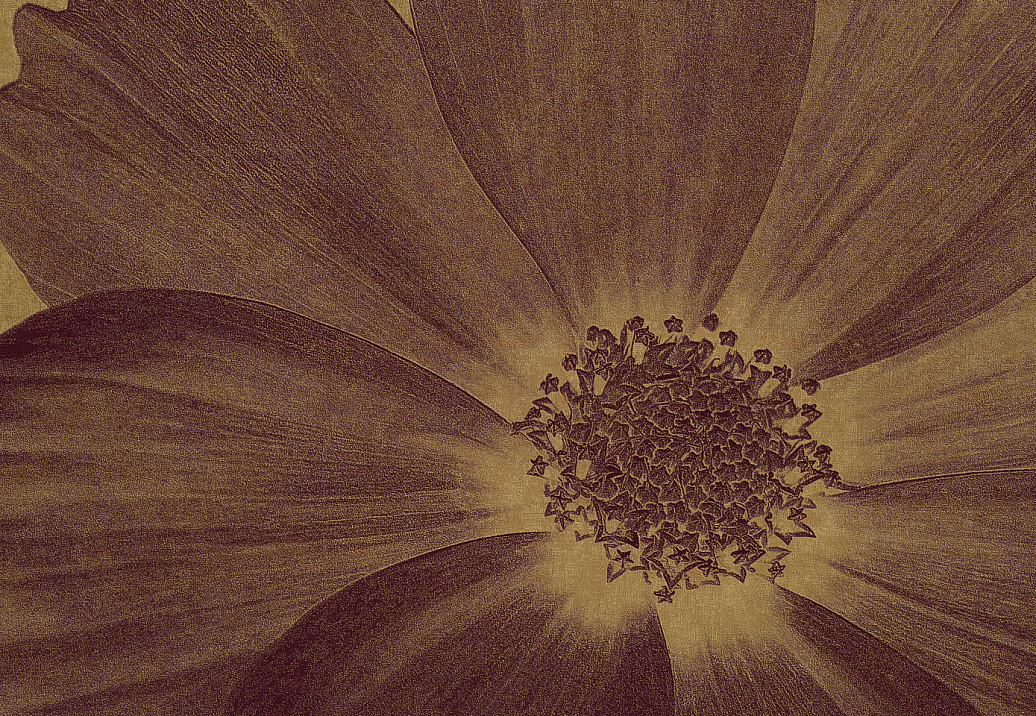 Панно и фотообои Italreflexes Macro Flower-013/PureGold