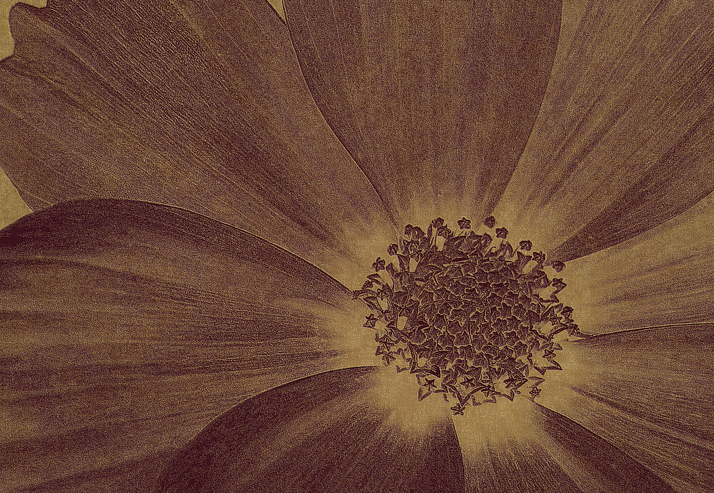 Панно и фотообои Italreflexes Macro Flower-013/PureGold
