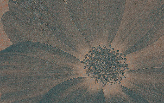 Итальянские панно и фотообои Italreflexes, коллекция Macro, артикул Flower-013/Copper
