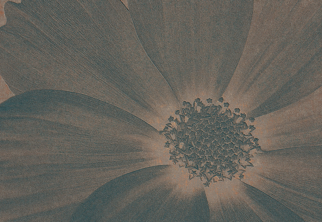 Панно и фотообои Italreflexes Macro Flower-013/Copper