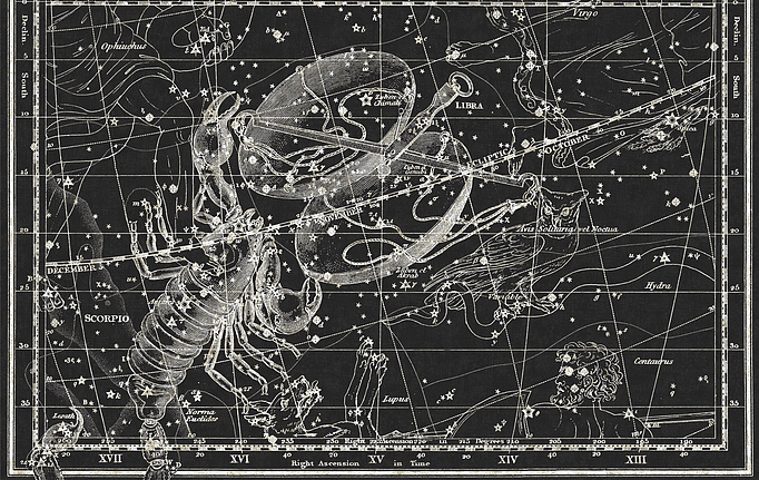 Итальянские панно и фотообои Italreflexes, коллекция Macro, артикул Scorpio-018/Slate