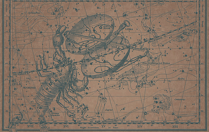 Итальянские панно и фотообои Italreflexes, коллекция Macro, артикул Scorpio-018/Copper