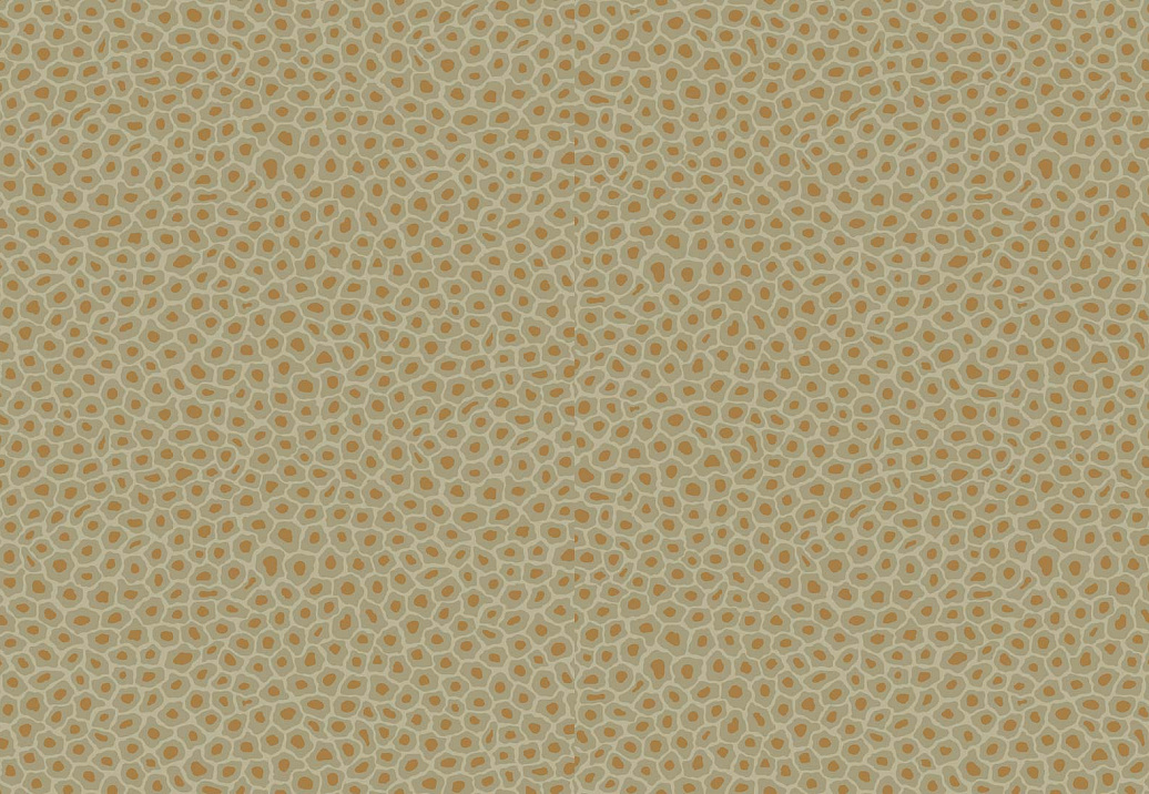 Обои Cole & Son The Ardmore Collection 109/6029