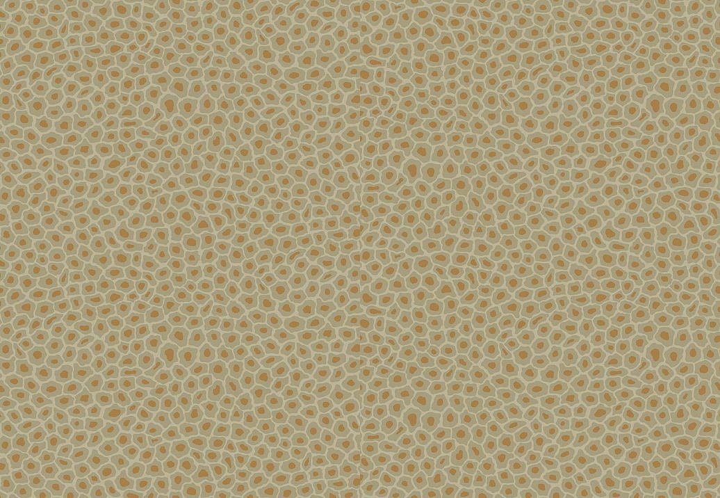 Обои Cole & Son The Ardmore Collection 109/6029