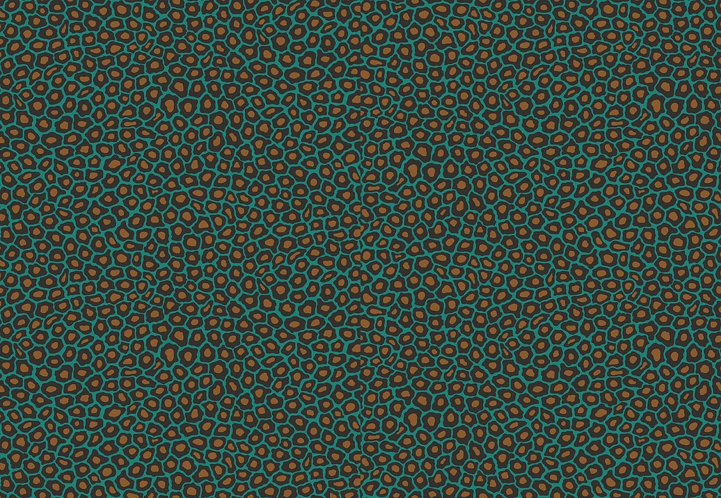 Обои Cole & Son The Ardmore Collection 109/6033