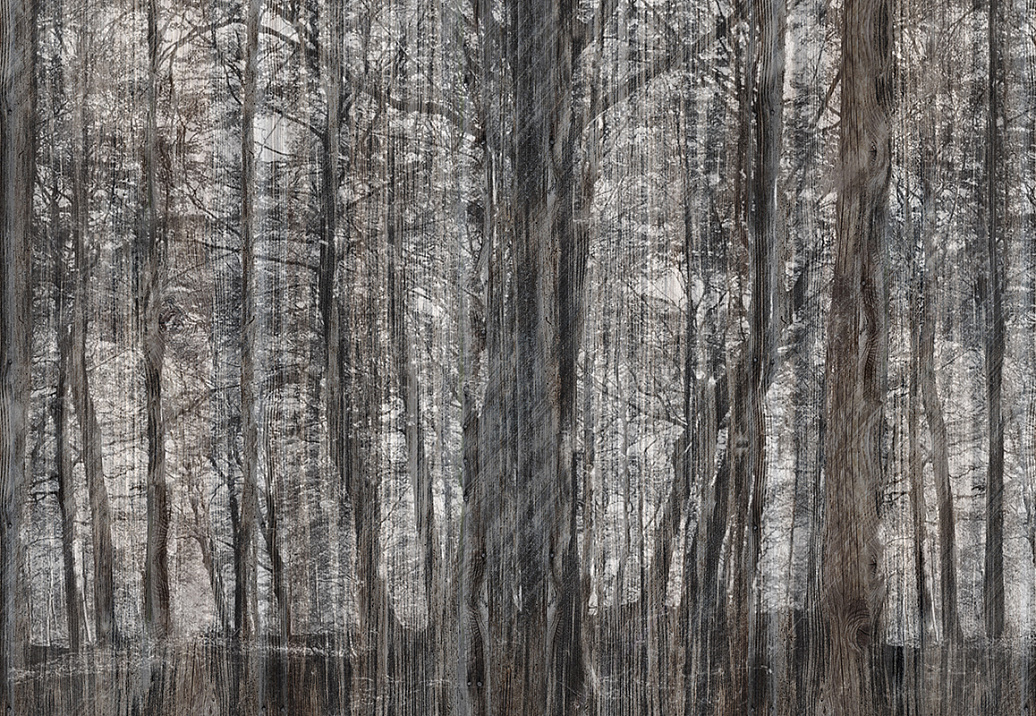 Панно и фотообои Inkiostro Bianco Vol.3.1 INKGFAY1502