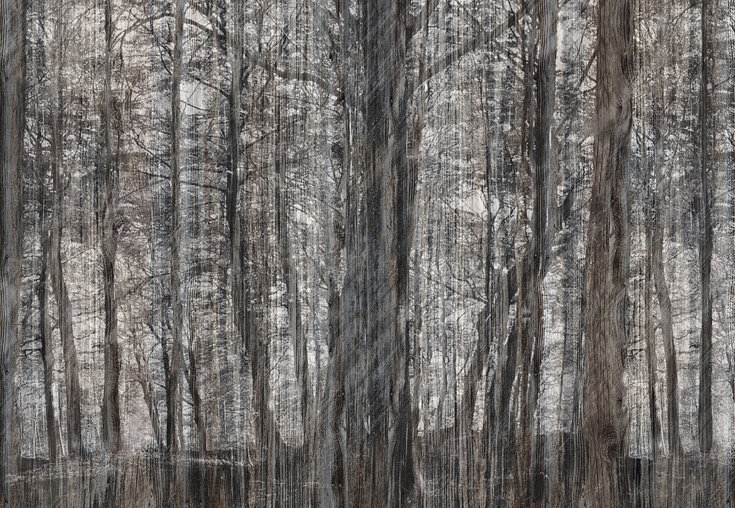 Панно и фотообои Inkiostro Bianco Vol.3.1 INKGFAY1502